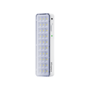 LEA-31Persp-Dir LEA-31Persp-Dir