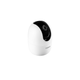 Adobe-Express---file--67-